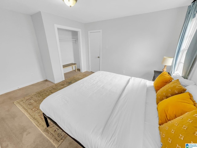 carpeted bedroom featuring a closet