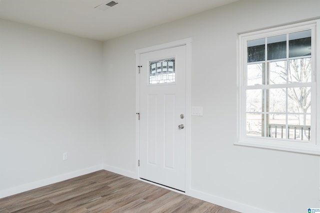 entryway featuring wood-type flooring