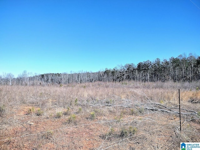 Listing photo 3 for 623 County Road 704 Unit 0, Wedowee AL 36278