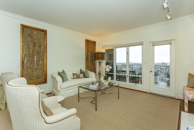 living room featuring ornamental molding and rail lighting