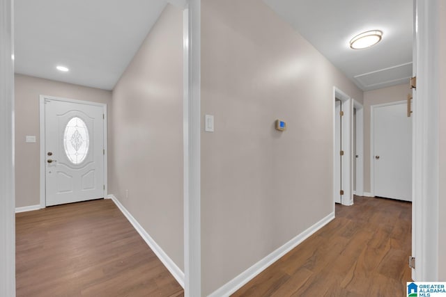 foyer entrance featuring wood-type flooring