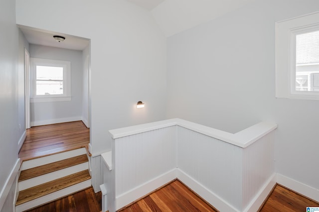 staircase with hardwood / wood-style flooring