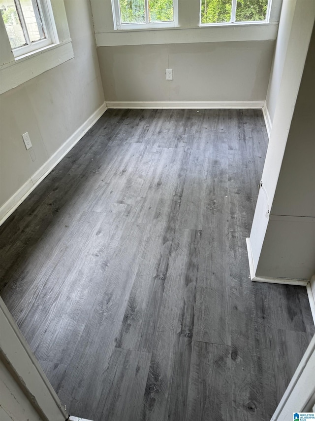 room details with hardwood / wood-style flooring