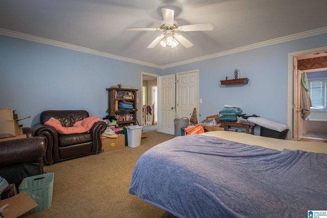 carpeted bedroom with ceiling fan, ensuite bathroom, and crown molding