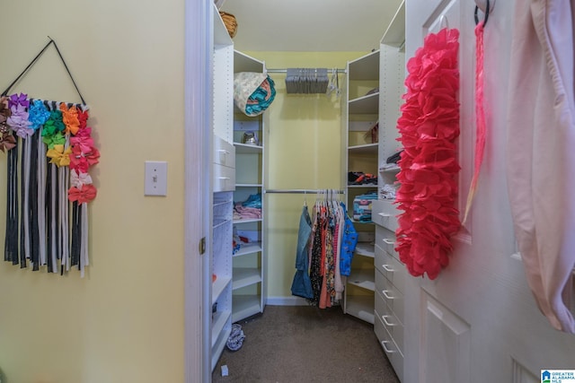 walk in closet featuring carpet flooring