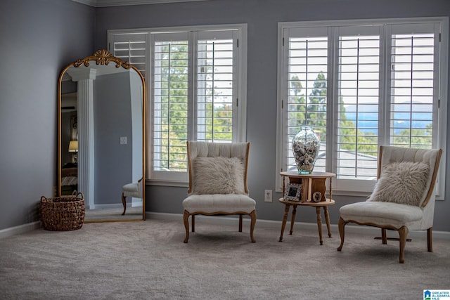 sitting room with carpet