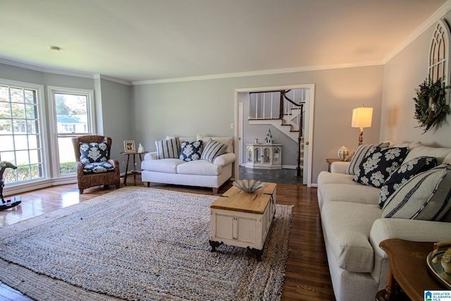 living room featuring crown molding and dark hardwood / wood-style floors