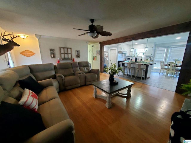 living room with ceiling fan and light wood-type flooring