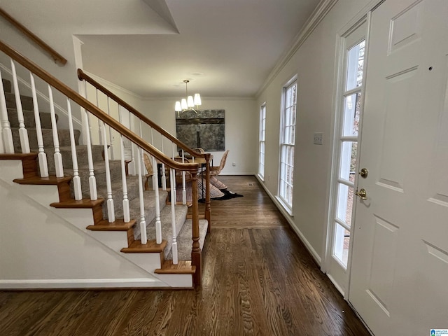 entryway with ornamental molding, a notable chandelier, and dark hardwood / wood-style flooring