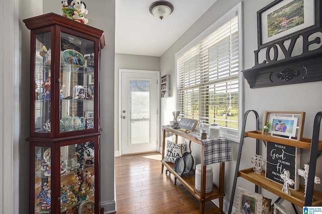 entrance foyer featuring hardwood / wood-style flooring