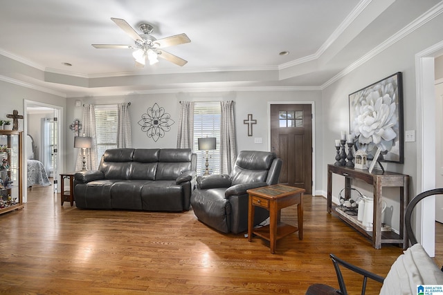 living room featuring ceiling fan, dark wood-type flooring, a tray ceiling, and ornamental molding