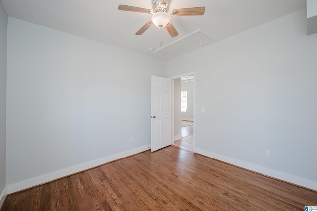 spare room featuring ceiling fan and light hardwood / wood-style floors