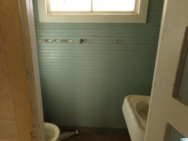 bathroom with toilet and plenty of natural light