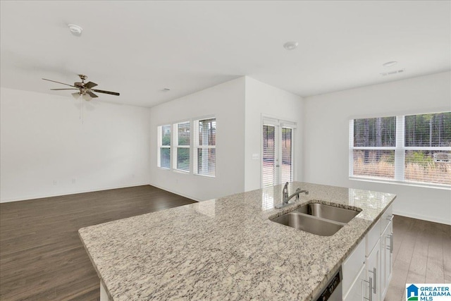 kitchen with sink, dark wood-type flooring, a kitchen island with sink, light stone counters, and white cabinets