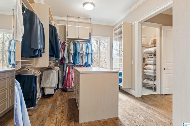 walk in closet with wood-type flooring