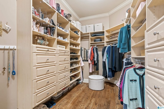 spacious closet with hardwood / wood-style floors