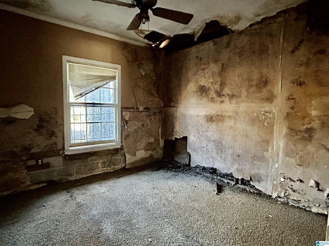 misc room featuring ceiling fan and crown molding