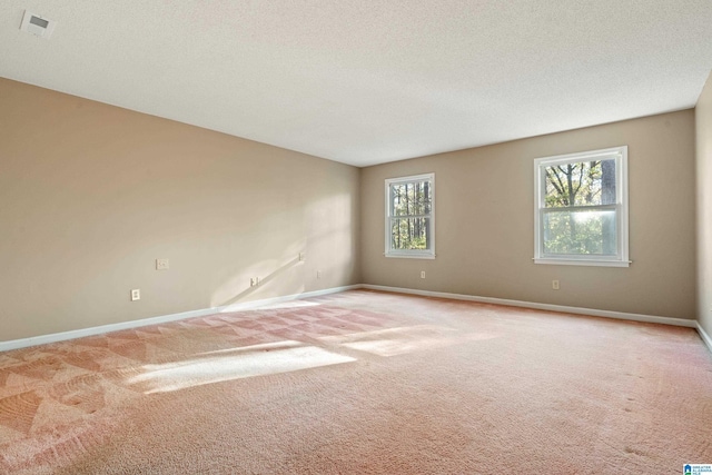 empty room featuring light colored carpet and a textured ceiling