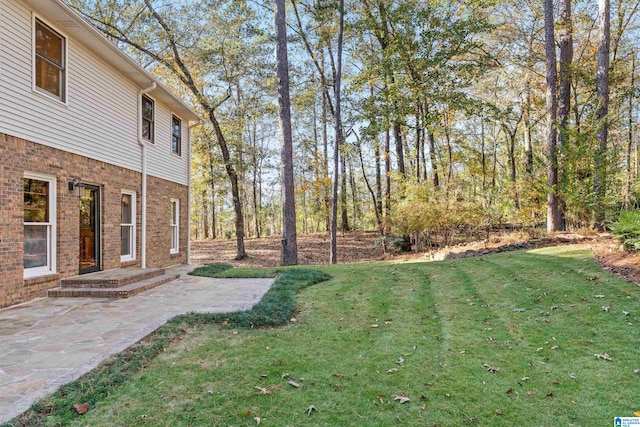 view of yard with a patio area