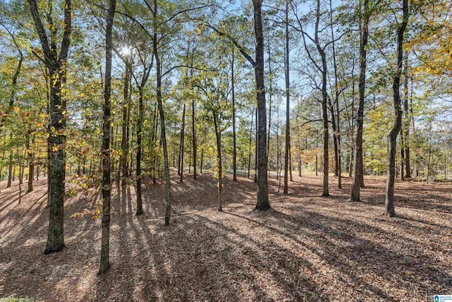 view of local wilderness