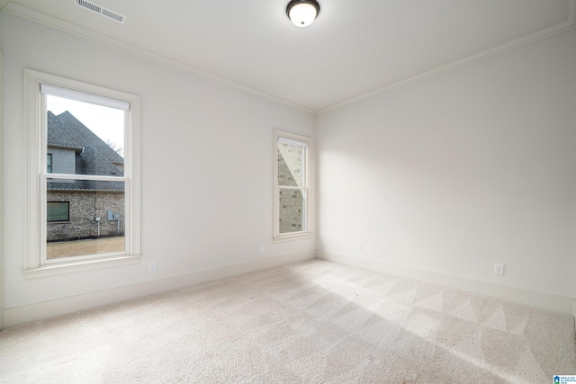 empty room featuring carpet flooring and crown molding