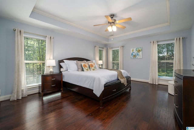 bedroom with multiple windows, ceiling fan, and a raised ceiling