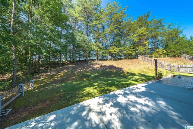 view of yard featuring a patio