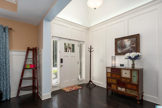 foyer entrance with dark hardwood / wood-style flooring