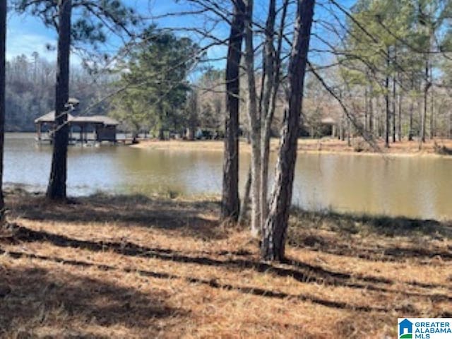 89 Golden Pond Rd Unit 9, Ashville AL, 35953 land for sale