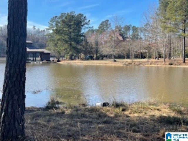 Listing photo 2 for 89 Golden Pond Rd Unit 9, Ashville AL 35953