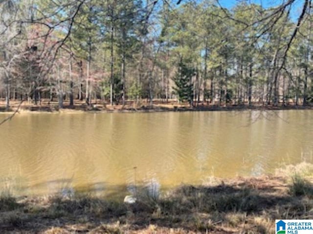 Listing photo 3 for 89 Golden Pond Rd Unit 9, Ashville AL 35953