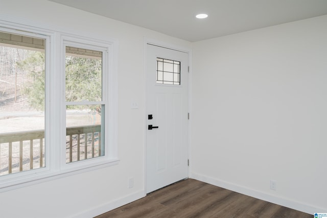 doorway with dark hardwood / wood-style flooring