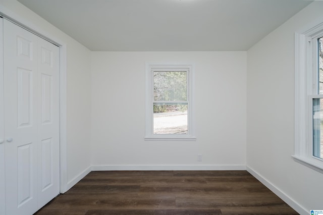 spare room with dark wood-type flooring