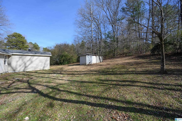 view of yard with a storage unit