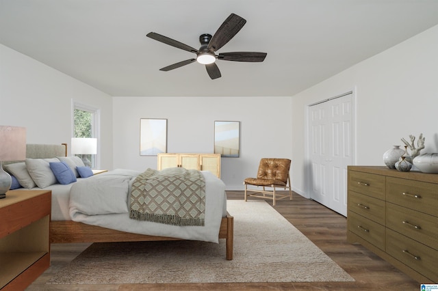 bedroom featuring a closet, dark hardwood / wood-style floors, and ceiling fan