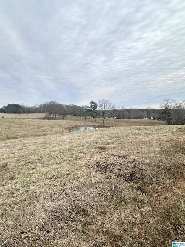 view of yard featuring a rural view