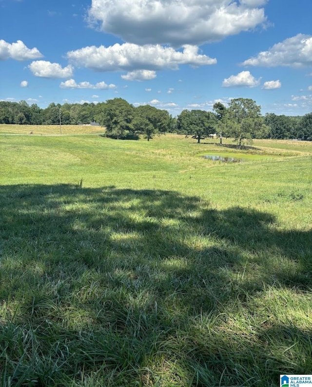 view of yard with a rural view