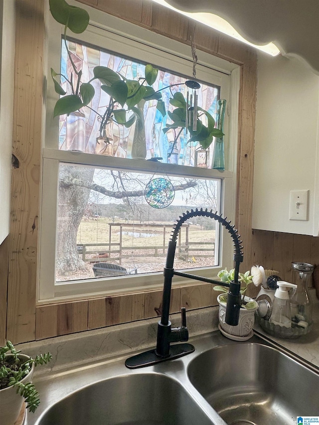 interior details with sink and wooden walls