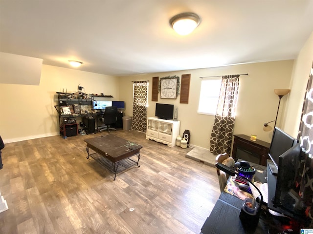 living room with hardwood / wood-style flooring