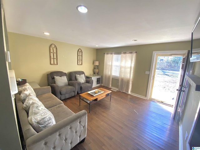 living room featuring wood-type flooring