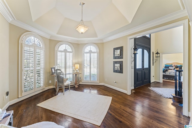 foyer entrance featuring a tray ceiling, dark hardwood / wood-style flooring, and crown molding