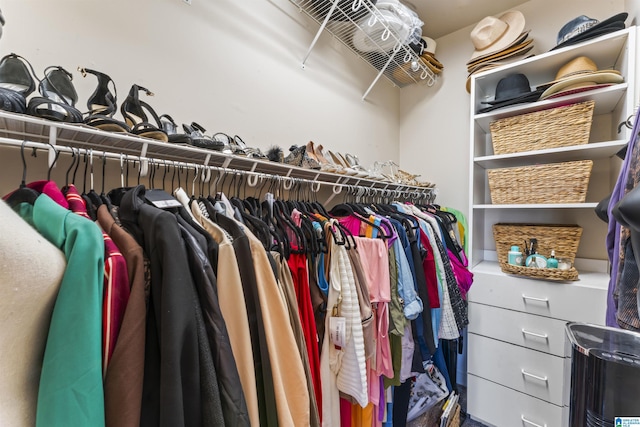 view of walk in closet