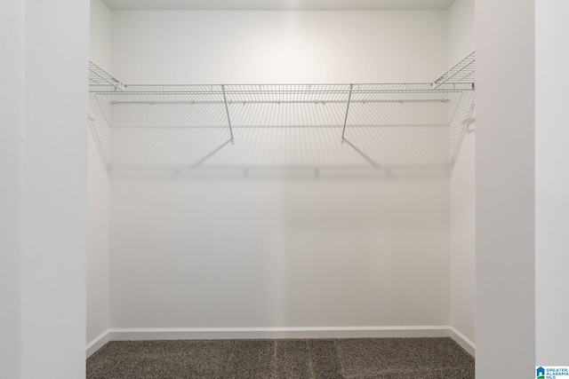 spacious closet featuring carpet flooring