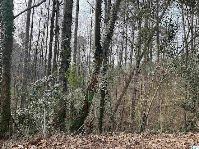 Listing photo 2 for 5455 Vicksburg Cir Unit 38, Birmingham AL 35210