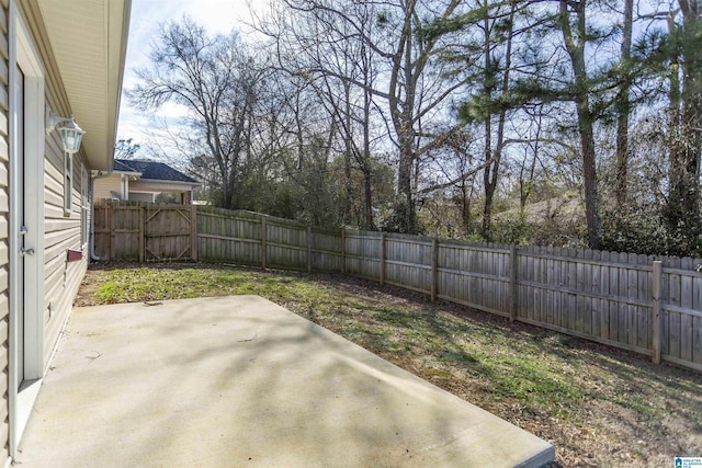 view of yard featuring a patio area