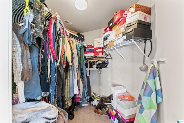 view of spacious closet