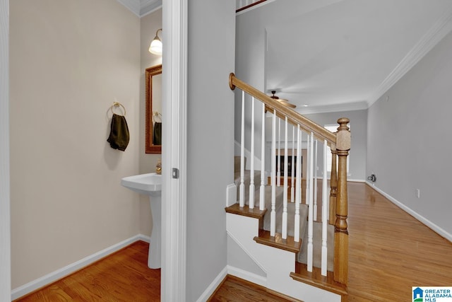 stairs with crown molding and hardwood / wood-style floors