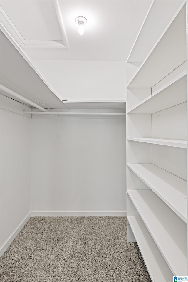 walk in closet with carpet