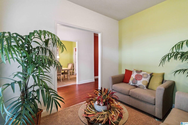 living room featuring hardwood / wood-style floors