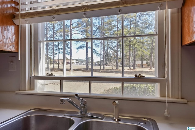 interior details with sink